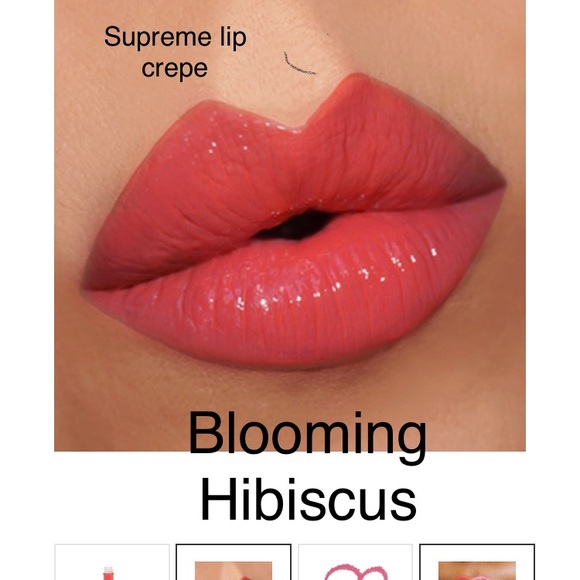 Gerard cosmetics lip bundle